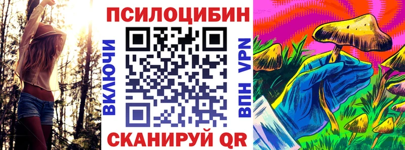 Галлюциногенные грибы GOLDEN TEACHER нарко площадка как зайти Шенкурск